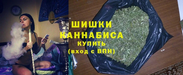 гидропоника Горняк