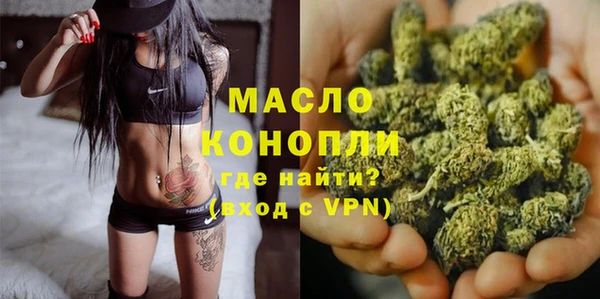 гидропоника Горняк