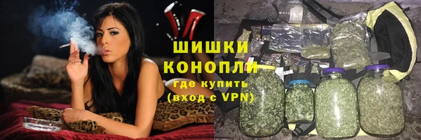 гидропоника Горняк