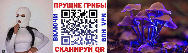 Псилоцибиновые грибы прущие грибы  Купить  Муром 